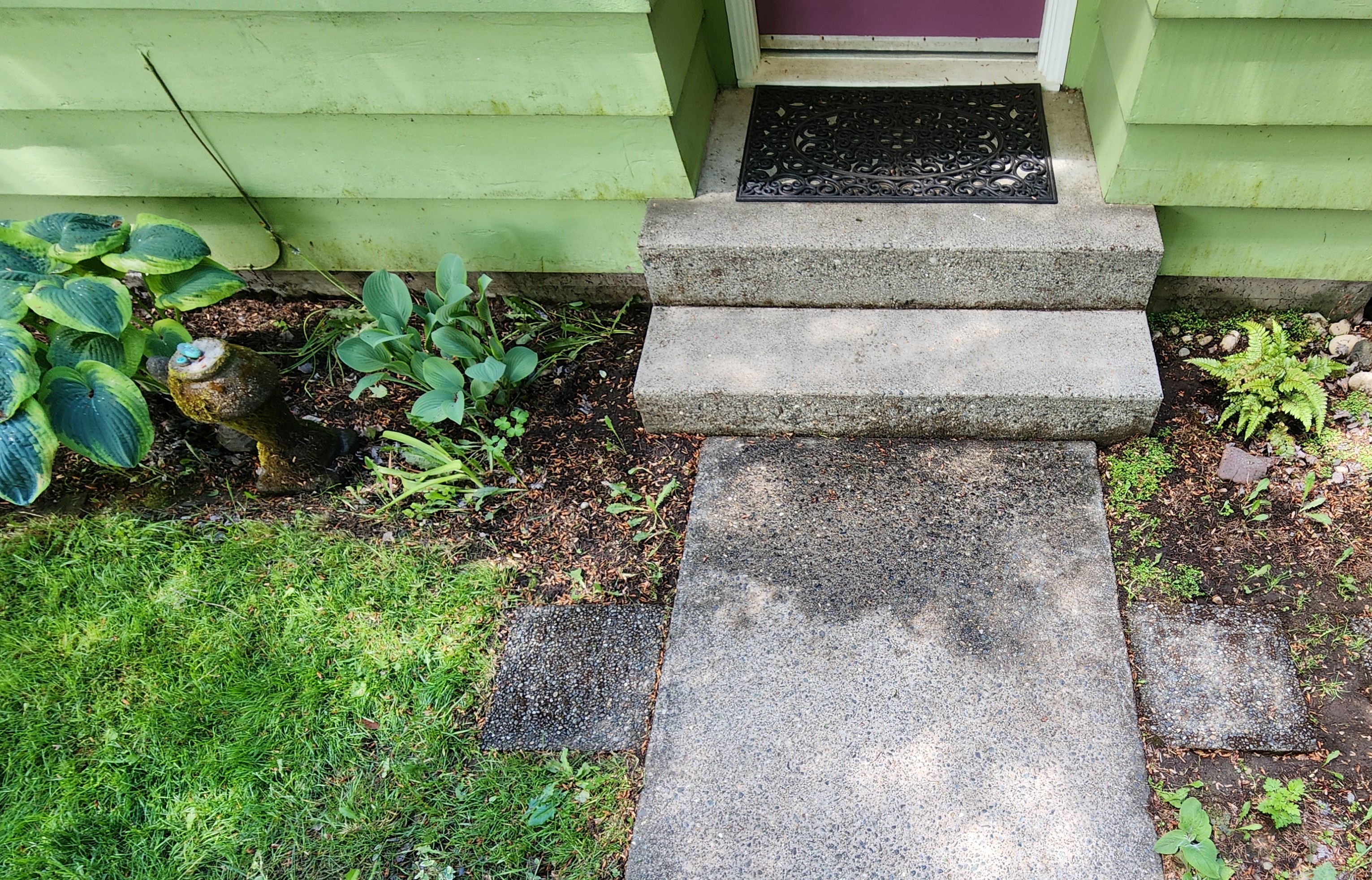 after moss mitigation