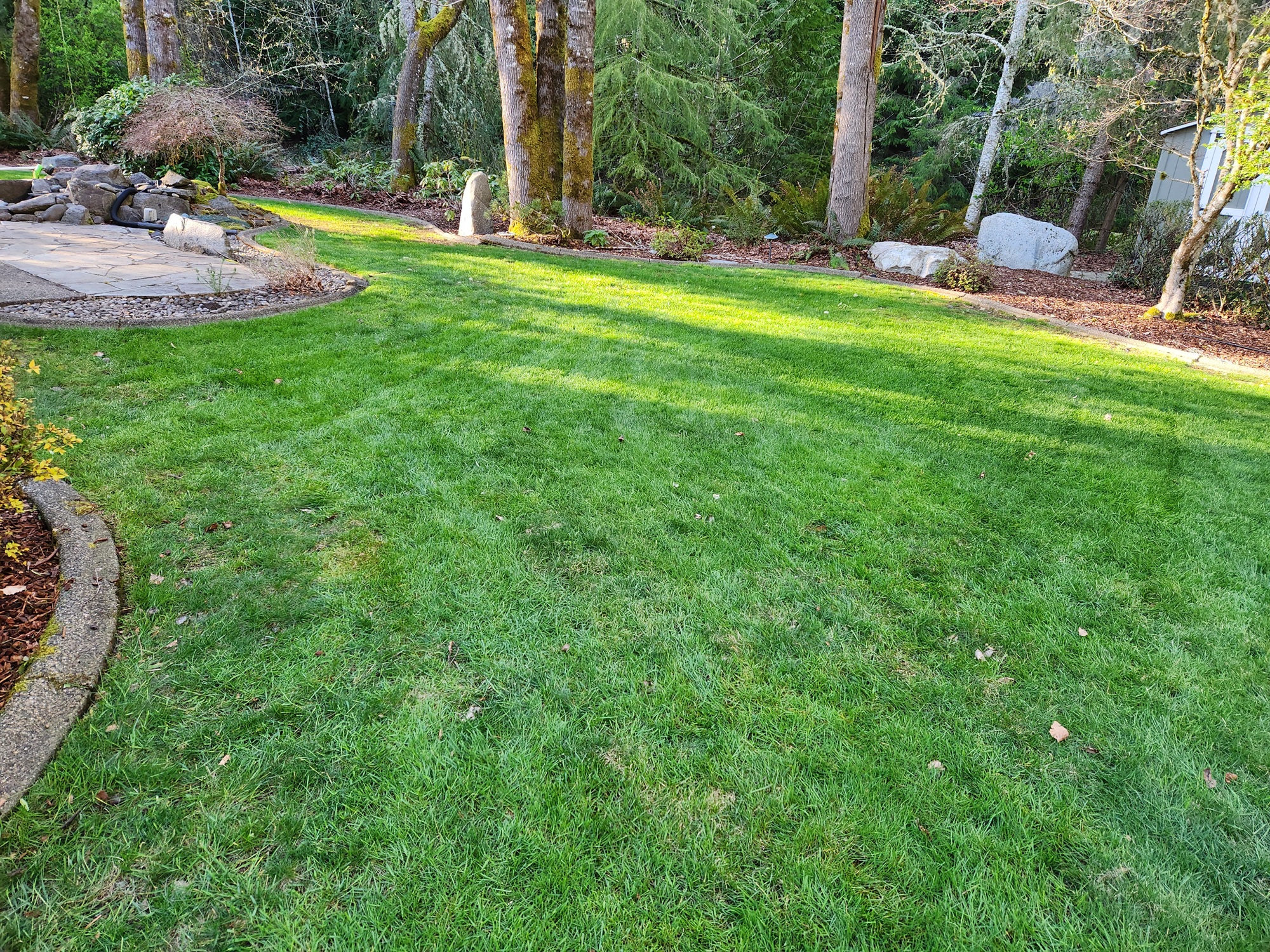 Structured lawn with clean, flowing bed lines