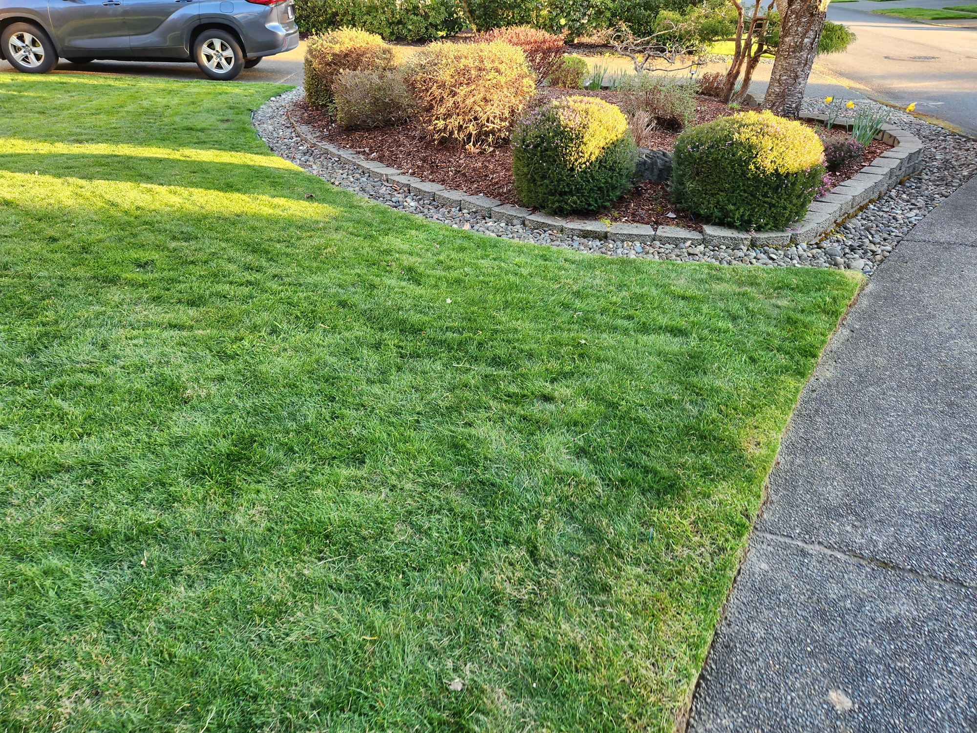 Attention to edges makes the difference