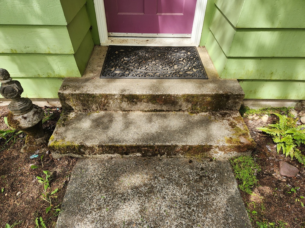 before moss mitigation